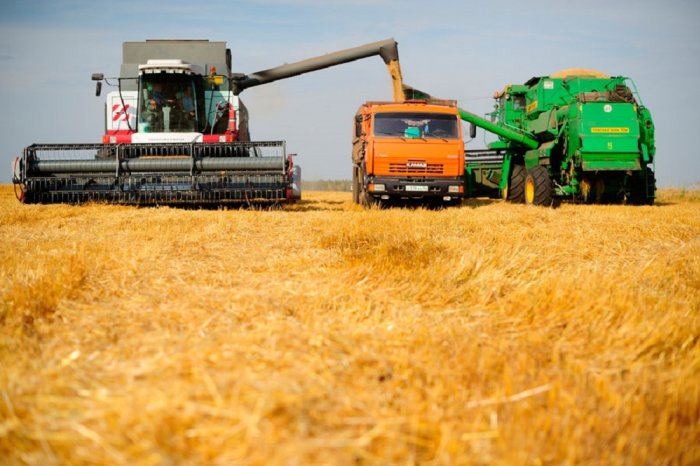 В 2019 году из Смоленской области экспортировано сельхозпродукции на 78 млн долларов США