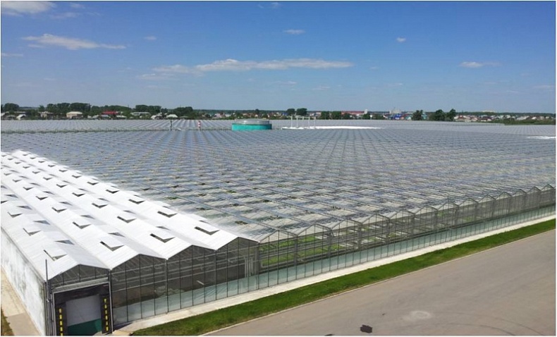 Construction of greenhouse complex Smolensky for production of vegetables and herbs has begun in Roslavl
