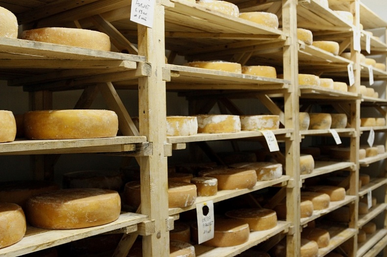 Интернет-издание Lenta.ru рассказало, как в Смоленской области варят французский сыр