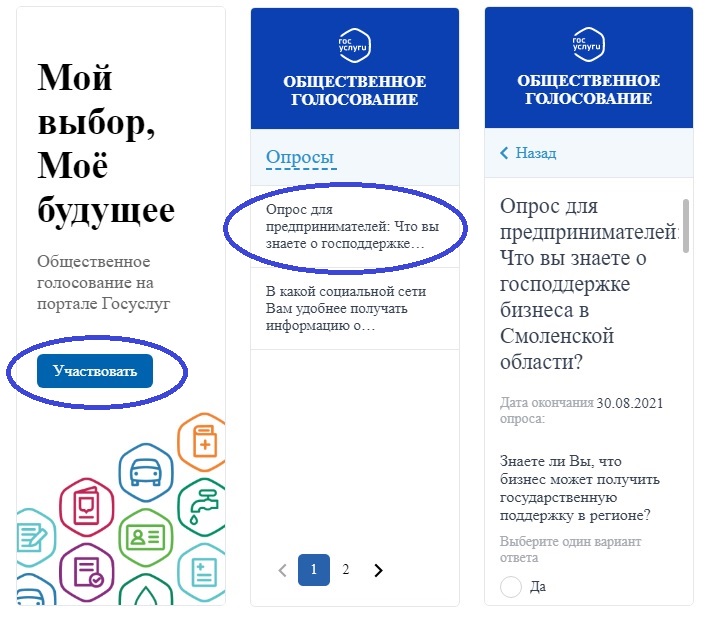Какую господдержку для бизнеса Вы получали?