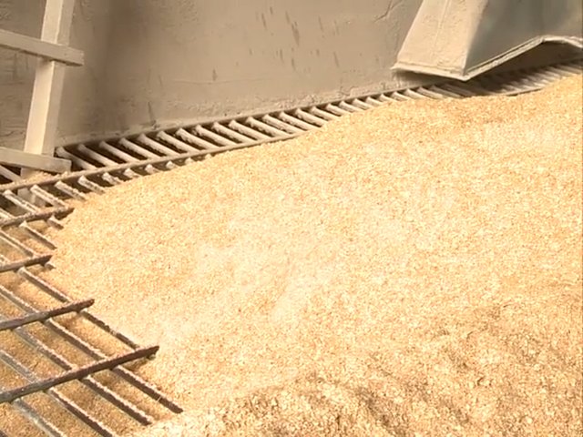 Смоленская область увеличивает производство зерна
