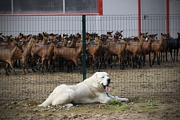 Фотографии