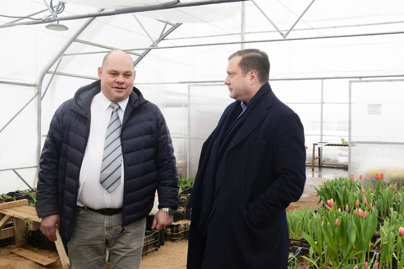 Тепличный комплекс по выращиванию тюльпанов в Смоленской области вдвое увеличит производственные мощности