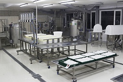 Фотографии