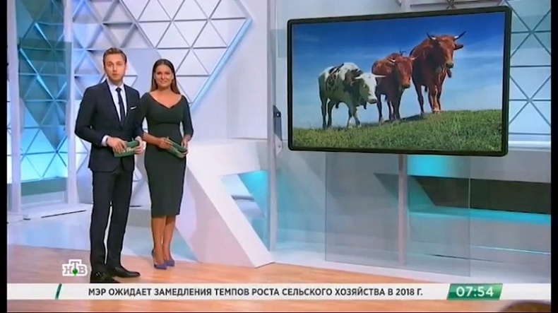 На телеканале НТВ рассказали о развитии сельскохозяйственной кооперации в регионе