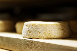 Фотографии