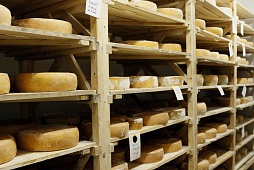 Фотографии