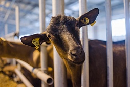 Фотографии