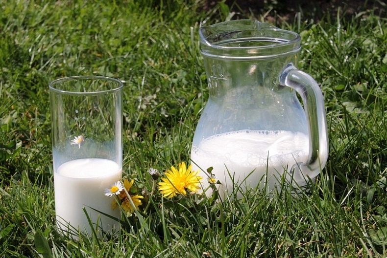 Кардымовский молочноконсервный комбинат планирует закупать молоко у населения напрямую