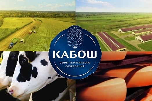 Kabosh 农业控股