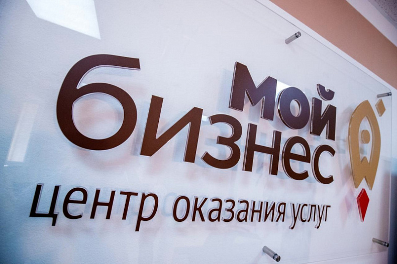 Почти 1,2 млн новых МСП зарегистрировано в России с начала года