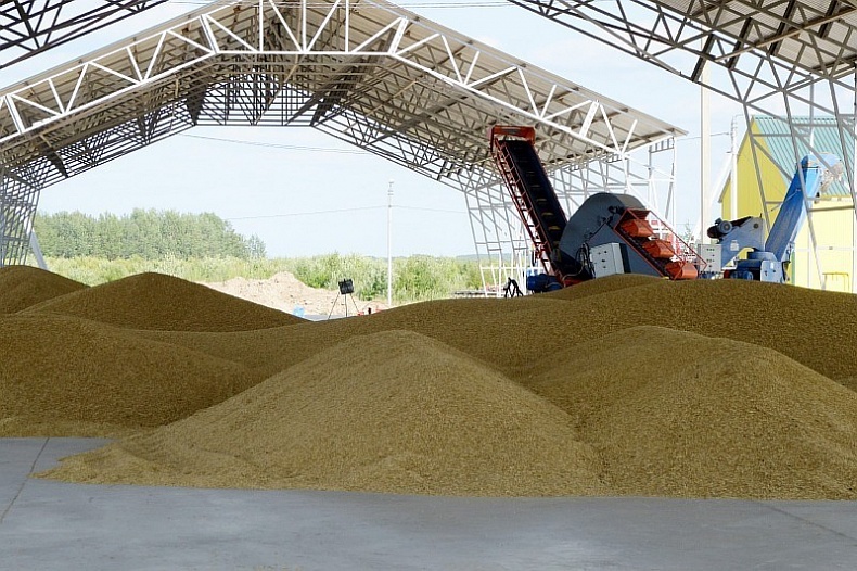 В Смоленской области увеличилось производство зерна