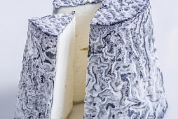 Фотографии