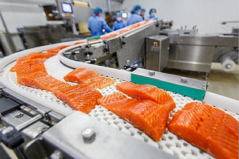 ГК «Балтийский берег» вложит 500 миллионов в производство рыбной продукции в Смоленской области