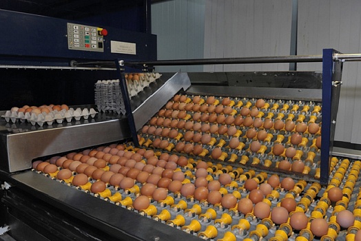 SMETANINO Poultry Farm LLC