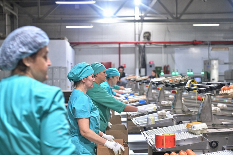 Тиражирование лучших практик на птицефабрике «Сметанино»: шаг к лидерству в рамках федерального проекта «Производительность труда»