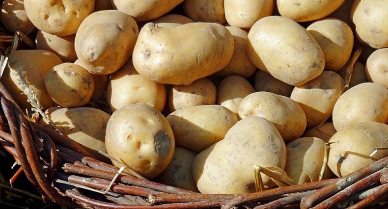 В регионе обсудили стратегию развития семеноводства картофеля