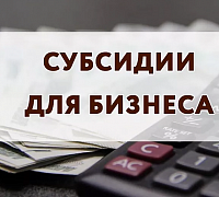 Опрос с целью предоставления субсидий субъектам МСП, заключившим договор лизинга оборудования с российскими лизинговыми организациями