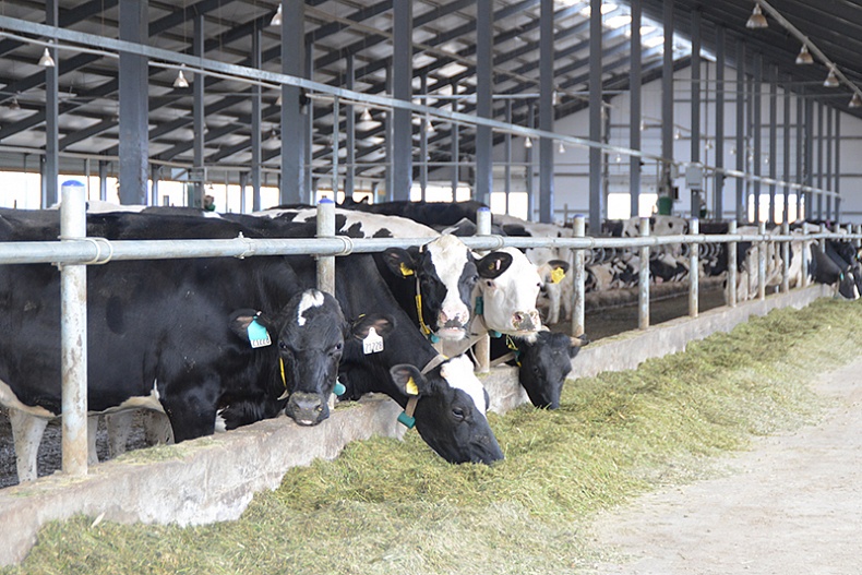 В Смоленской области поддержат развитие молочного животноводства