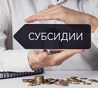 Предоставление субсидий субъектам МСП